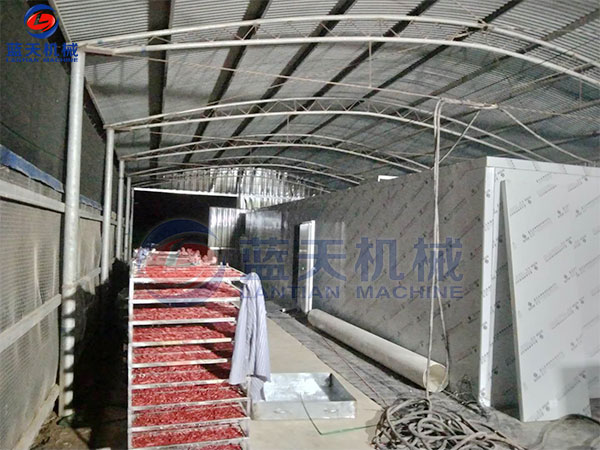 云南小米辣烘干機現場